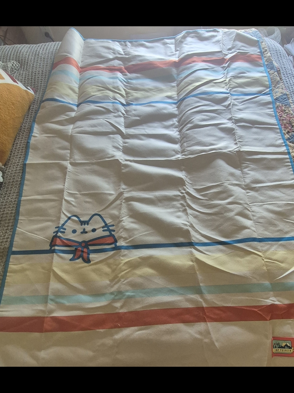 Pusheen Roll-up Picnic/Beach Blanket